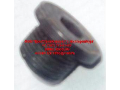 Пробка крышки бортового редуктора М22х1,5 H HOWO (ХОВО) 190003961309 фото 1 Краснодар