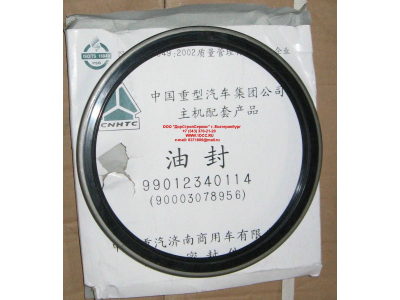 Сальник 190х220х15 задней ступицы наружный H/SH HOWO (ХОВО) WG9112340114 фото 1 Краснодар