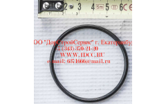 Кольцо уплотнительное ø346х3.5 гидромуфты ГТР CDM 855, 843 фото Краснодар