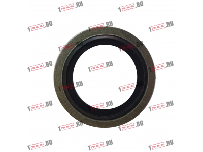 Шайба уплотнительная резинометаллическая D-24 H2 HOWO (ХОВО)  фото 1 Краснодар