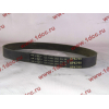 Ремень 8PK790 генератора CDM 855 Lonking CDM (СДМ) 612600090201 фото 2 Краснодар