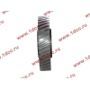 Шестерня привода распредвала промежуточная WD615/WP10 HOWO (ХОВО) VG1560050053/61560050053 фото 3 Краснодар